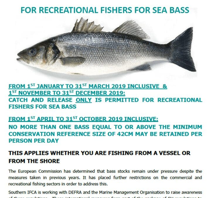 NEW SEA BASS REGULATIONS FOR RECREATIONAL FISHERS
